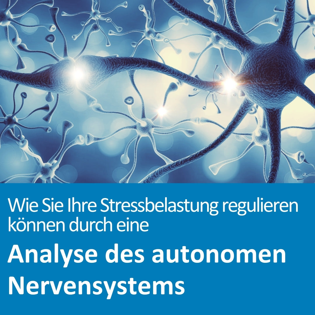 Illustration von Nervenzellen (Neuronen) mit leuchtenden Synapsen, die ein komplexes Netzwerk des Nervensystems darstellen. Die Visualisierung ist in kühlen Blau- und Violetttönen gehalten und vermittelt den Eindruck von Aktivität im Gehirn. Der Text auf dem Bild lautet: „Wie Sie Ihre Stressbelastung regulieren können durch eine Analyse des autonomen Nervensystems“.