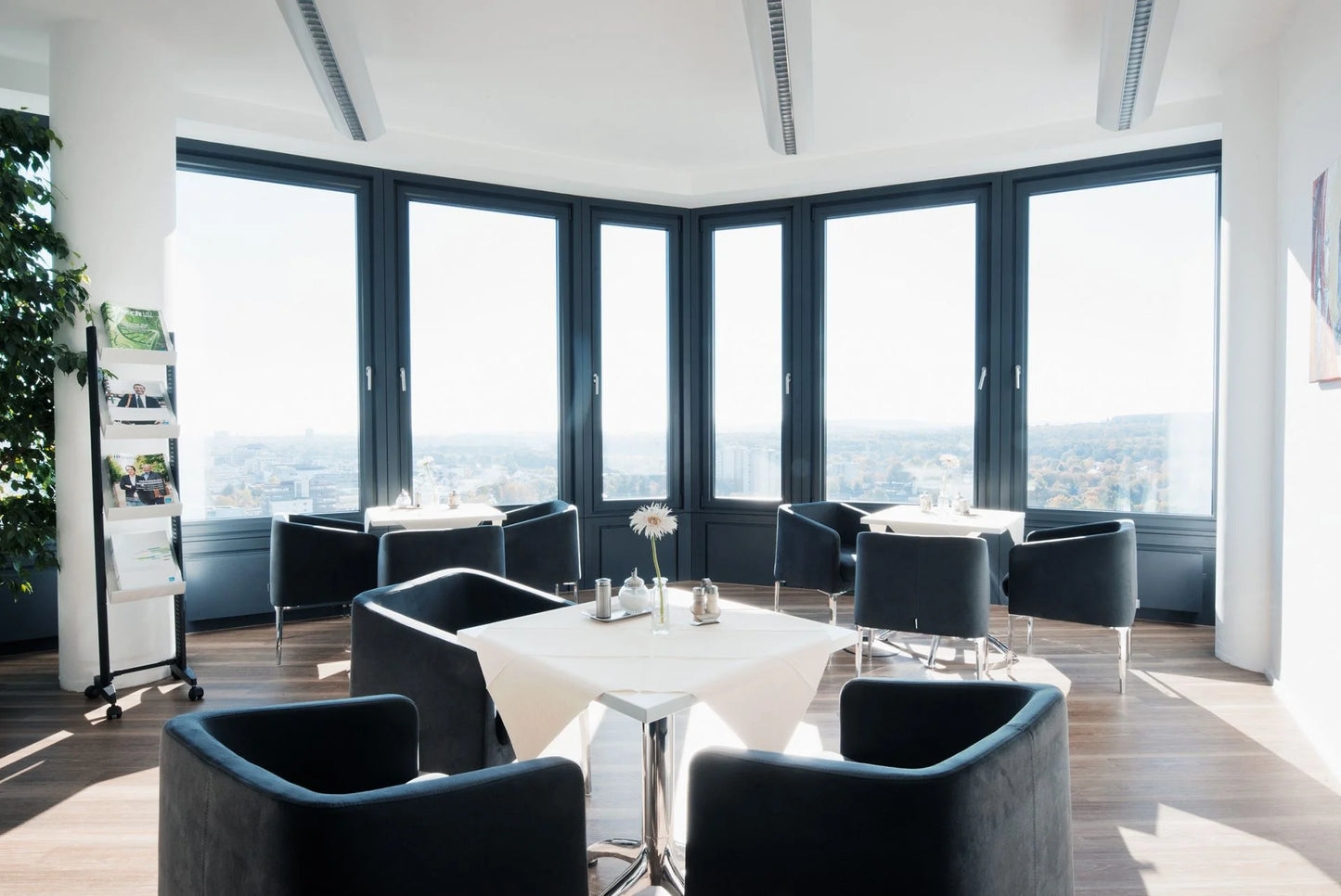 Healthy Longevity Check-up 🔗