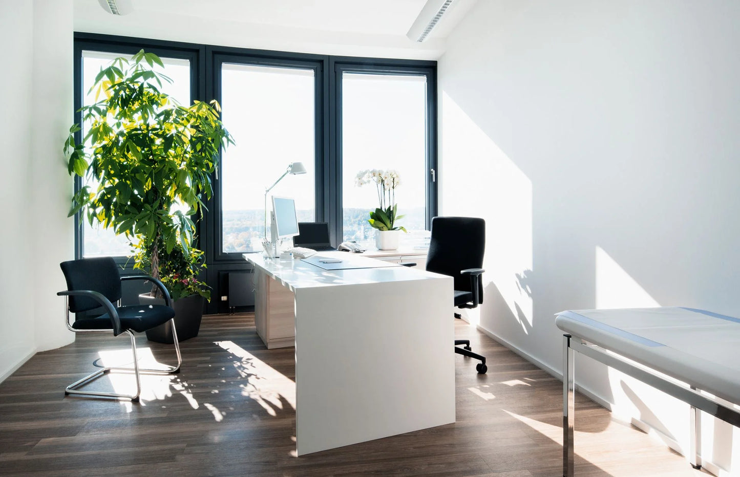 Healthy Longevity Check-up 🔗