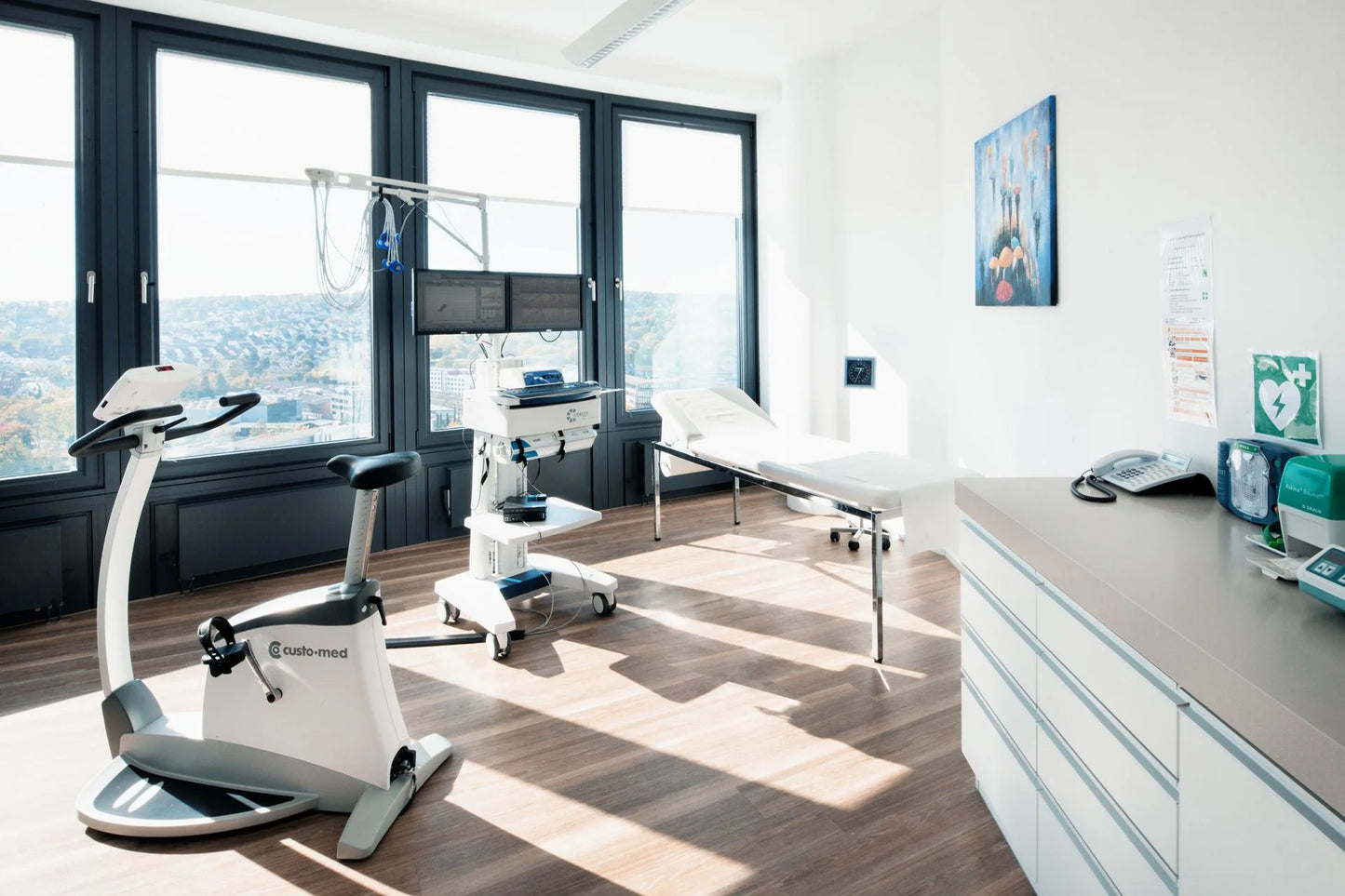 Healthy Longevity Check-up 🔗