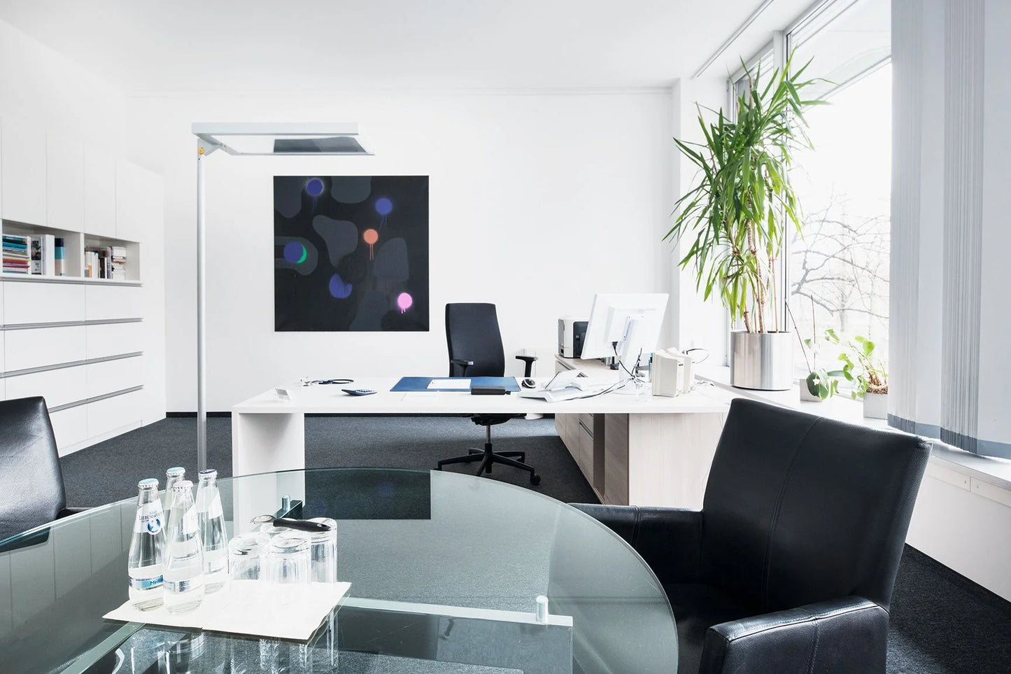 Healthy Longevity Check-up 🔗