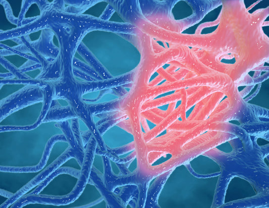 Silent Inflammation – Die stille Gefahr (Online-Seminar)